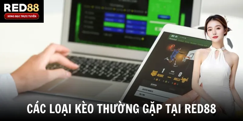 Các loại kèo thường gặp tại Red88