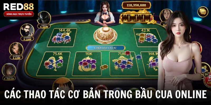 Các thao tác cơ bản trong bầu cua online