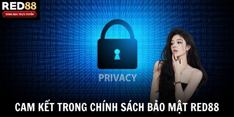 Những cam kết trong chính sách bảo mật Red88