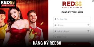 Đăng Ký Red88 - Quy Trình Đơn Giản Chỉ Với 3 Bước Thực Hiện