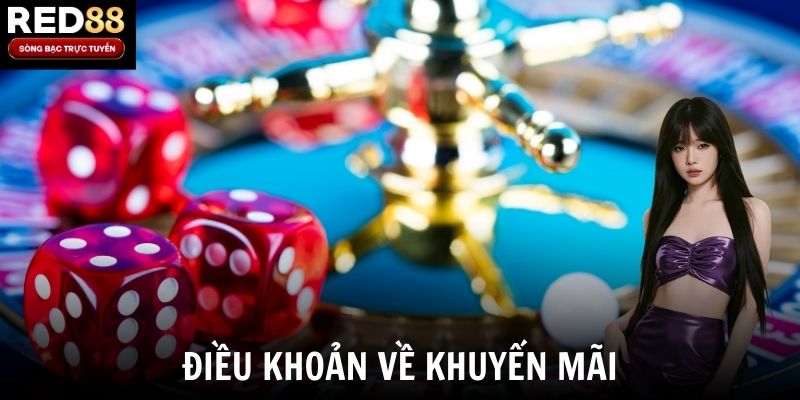 Điều khoản về khuyến mãi