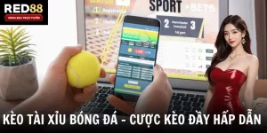 Kèo Tài Xỉu Bóng Đá - Bí Kíp Soi Kèo Và Kinh Nghiệm Thắng