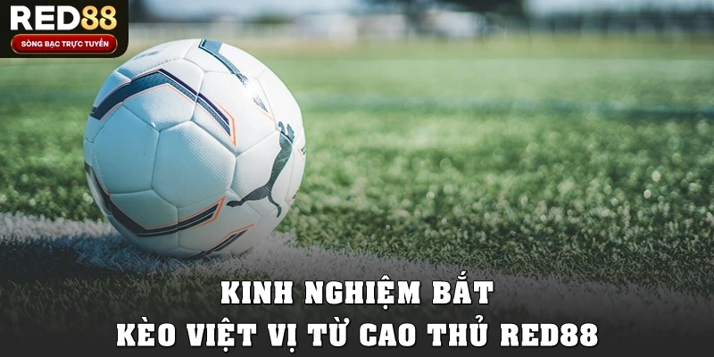 Kinh nghiệm bắt kèo việt vị hiệu quả từ cao thủ Red88