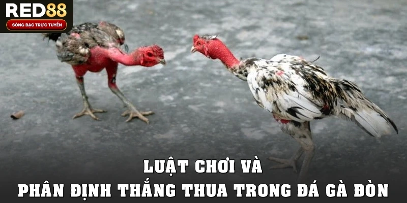 Luật chơi và phân định thắng thua trong đá gà đòn
