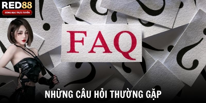 Những câu hỏi thường gặp