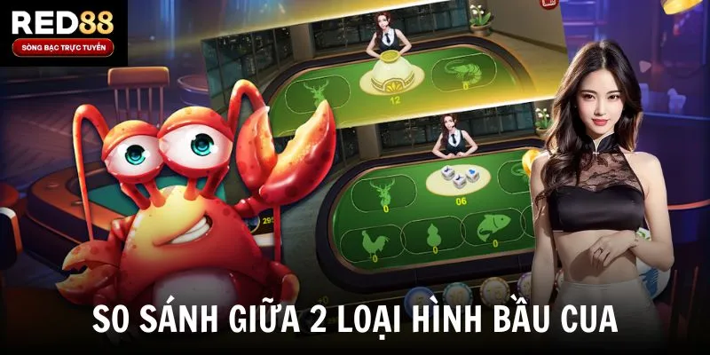 So sánh giữa 2 loại hình bầu cua