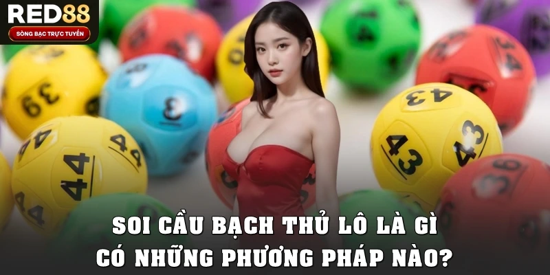Soi cầu bạch thủ lô là gì? Có những phương pháp nào?