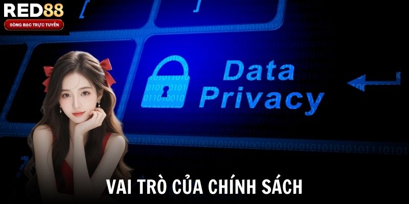 Vai trò của chính sách